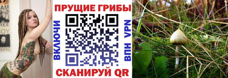 даркнет сайт  Нижний Тагил  Псилоцибиновые грибы мицелий 