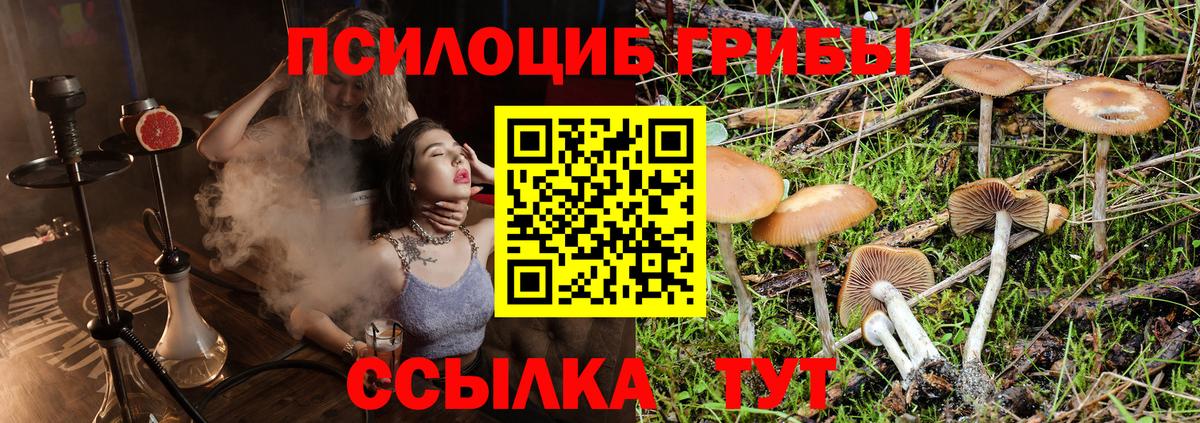 Псилоцибиновые грибы MAGIC MUSHROOMS Нижний Тагил