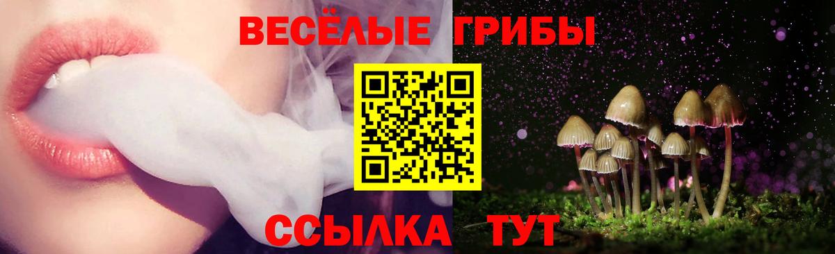 Нижний Тагил  Псилоцибиновые грибы Cubensis  Галлюциногенные грибы Psilocybe  Вход с VPN 